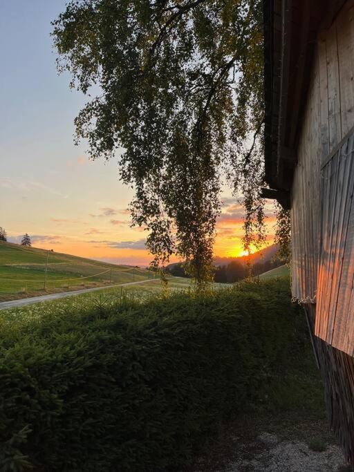 Nuit Insolite - La Cabane Du Haut-Doubs Les Gras 외부 사진