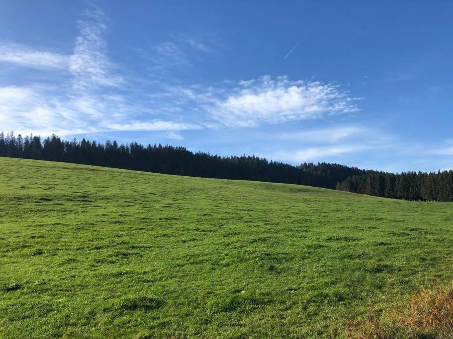 Nuit Insolite - La Cabane Du Haut-Doubs Les Gras 외부 사진